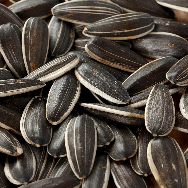 Top Quality Sunflower Seeds / Sunflower Seed Hulled / Sunflower Kernels From South Africa For