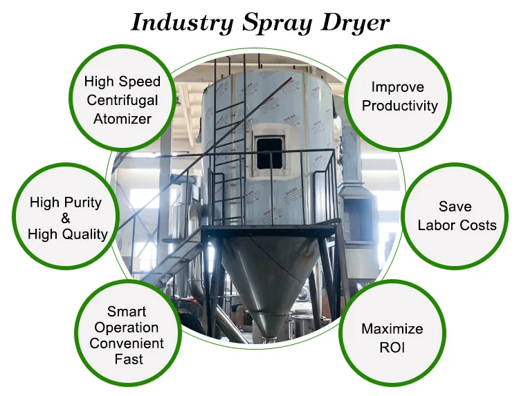 Rotary Atomizer Powder Whey Protein Ginger Spray Dryer Making Machine