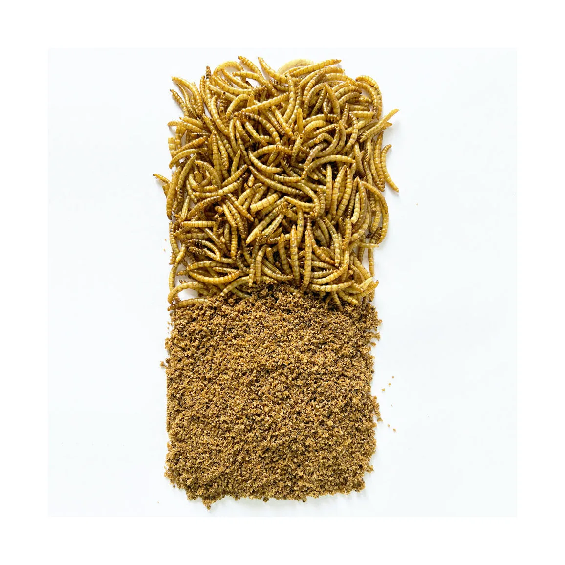 Dried Mealworm For Bird,Yellow Dried Mealworms Yellow Wholesale High