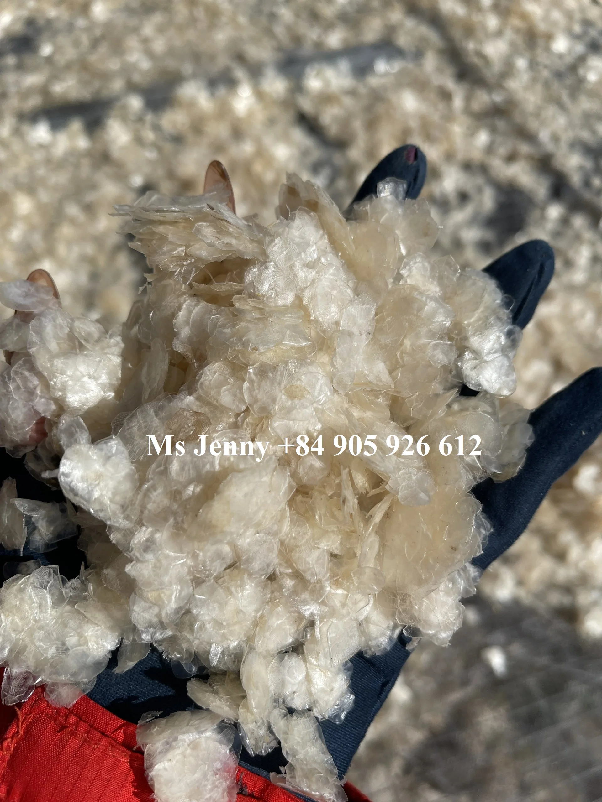 Fish Scales For Collagen 100 Export Quality Cheap Price From