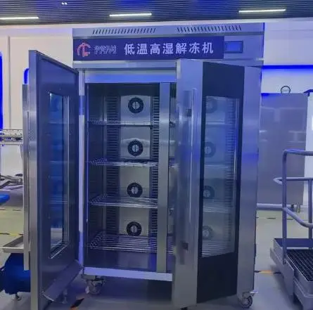Circulating air system automatic low temperature meat thawing machine