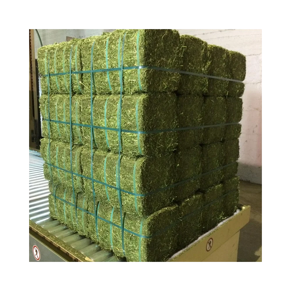 Best Super Alfalfa Hay Timothy Hay Lush Green Moisture Controlled