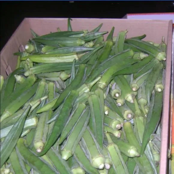 Fresh Okra19.png