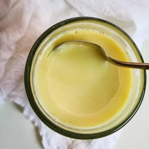 High Quality Beef Tallow Extract Animal Fat Powder From Vietnam Best Price 2024