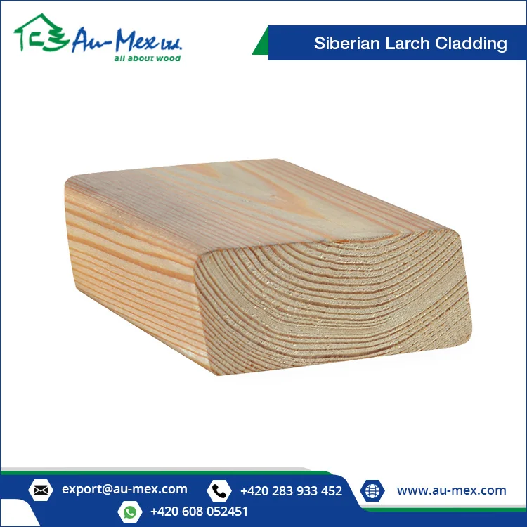 Siberian Larch Wood Wall Cladding at Low Price 20x69 mm