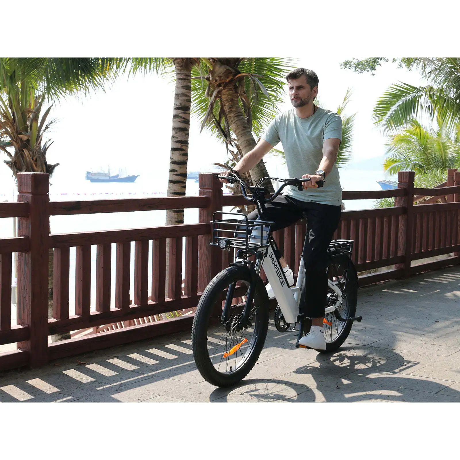 RS-A01 Plus Elektro-Citybike, 250-W-Hinterradnabenmotor, 36-V-Lithium-Akku, elektronisch faltbar, 50 km Reichweite, 60 km Stromversorgung