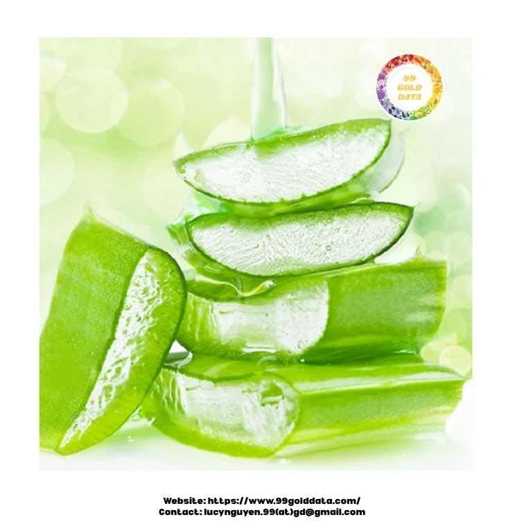 Natural frozen aloe vera processed and packed under hygiene standards for  beverage and personal care use
