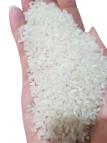 Ароматный сломанный рис 50%, 100% сломанный продукт для здорового экспорта пищи с высоким содержанием белка индивидуальная упаковка от вьетнамской торговли