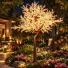 Albero di ciliegio in fiore bianco caldo (H:3,8 L:2,8M)