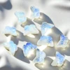 Rainbow Moonstone
