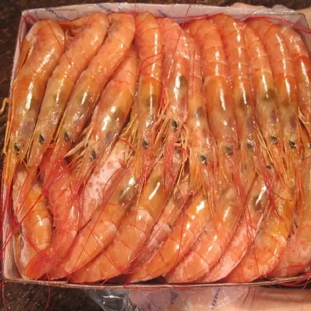 Frozen Vannamei Shrimp Farming Head On From Thailand Available In Stock