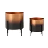 Copper & Black