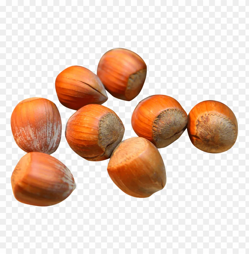 4545456 (1).png