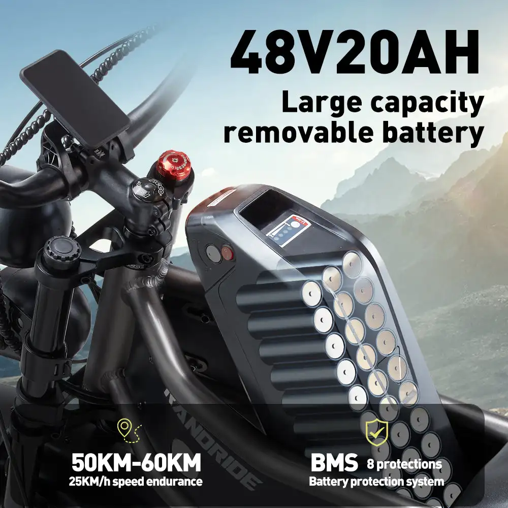 RANDRIDE DM711 20\" Electric Mountain Bike with 2000W 20Ah Dual Motors 60km Range 48v Lithium Battery 20\" Rear View Mirrors