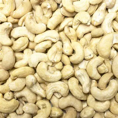 RAW CASHEW NUTS FOR SALE - Cashew nuts W180