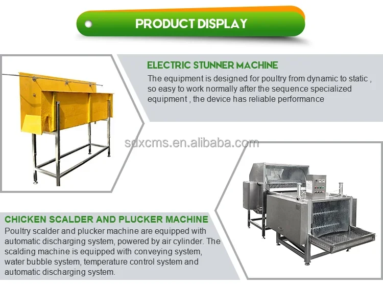 2024 Factory Price Small Scale Capacity 12000 Automatic Chicken Duck Abat Modern Poultry Slaughterhouse