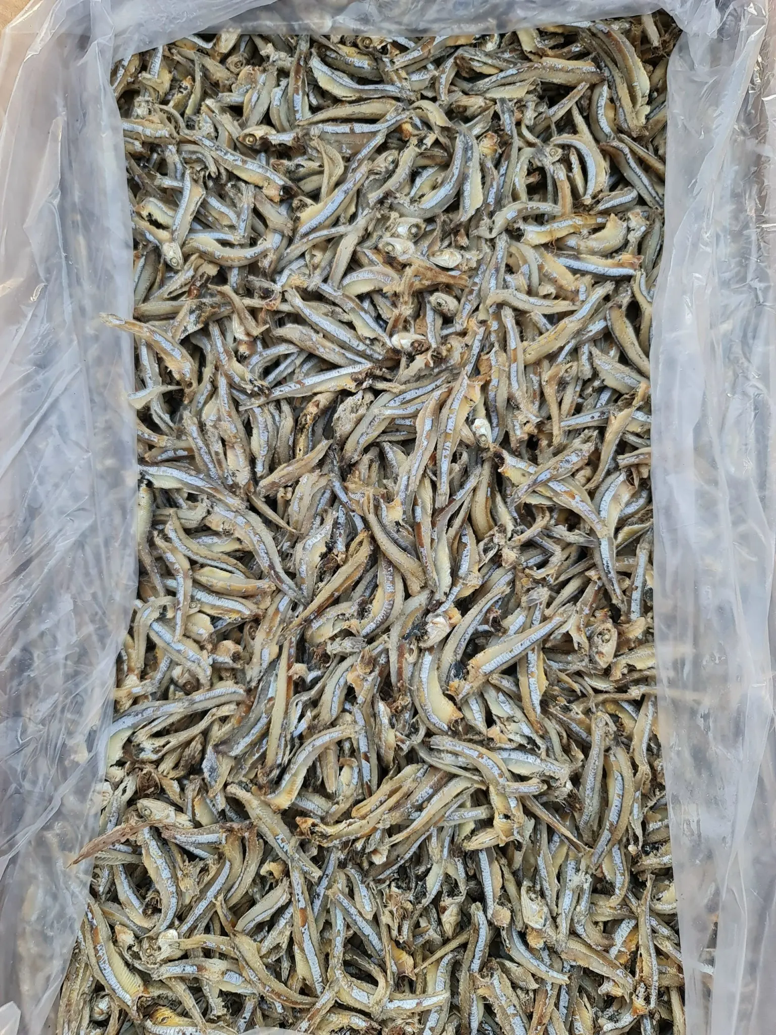 Hot Price Viet Nam Dried Anchovy Fish 100 Natural/ Hot Deal/ 2022 Ms