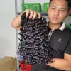 Wavy Weft