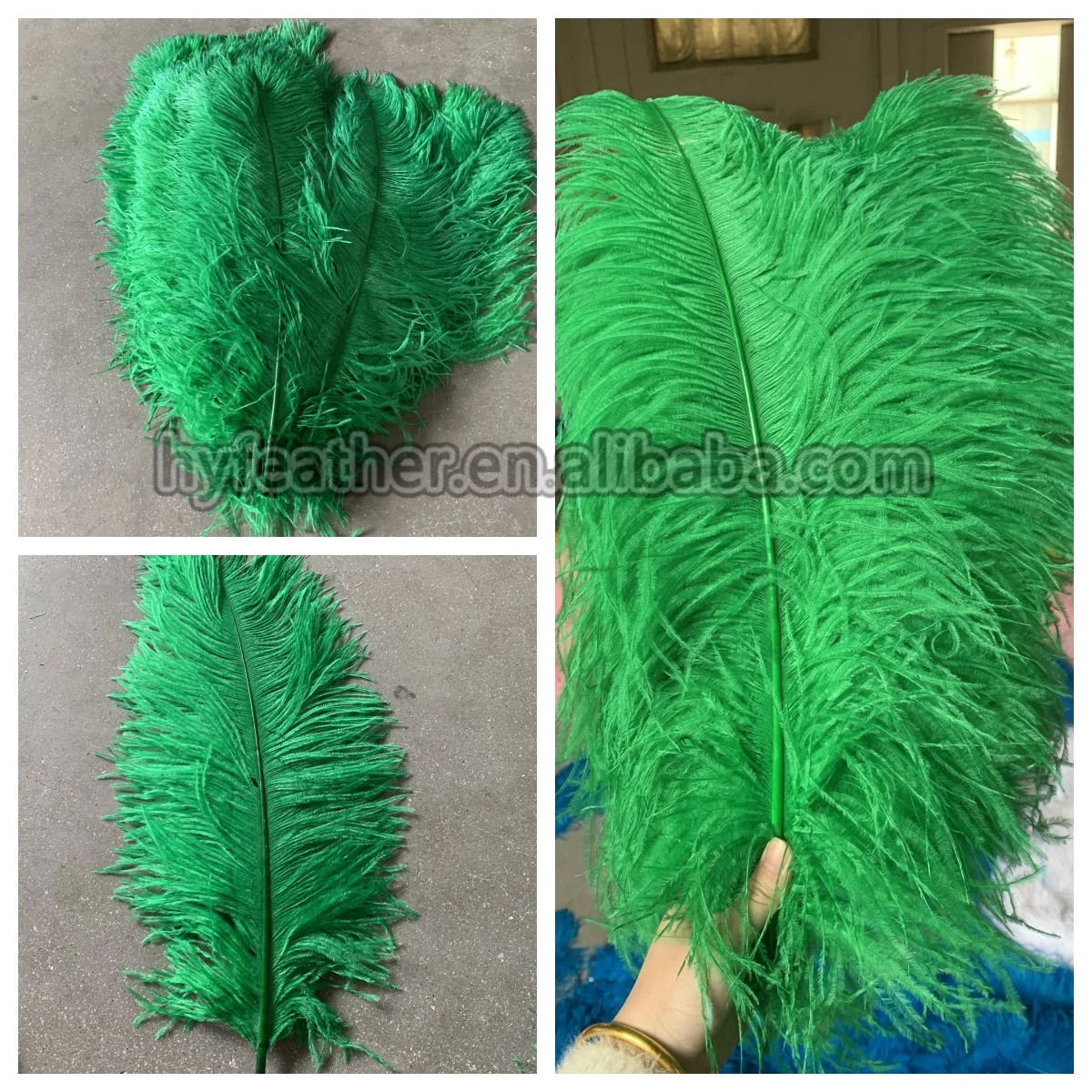 Dyed Black Purple Ostrich Feather Best Quality Plumes Uy Two Color ...