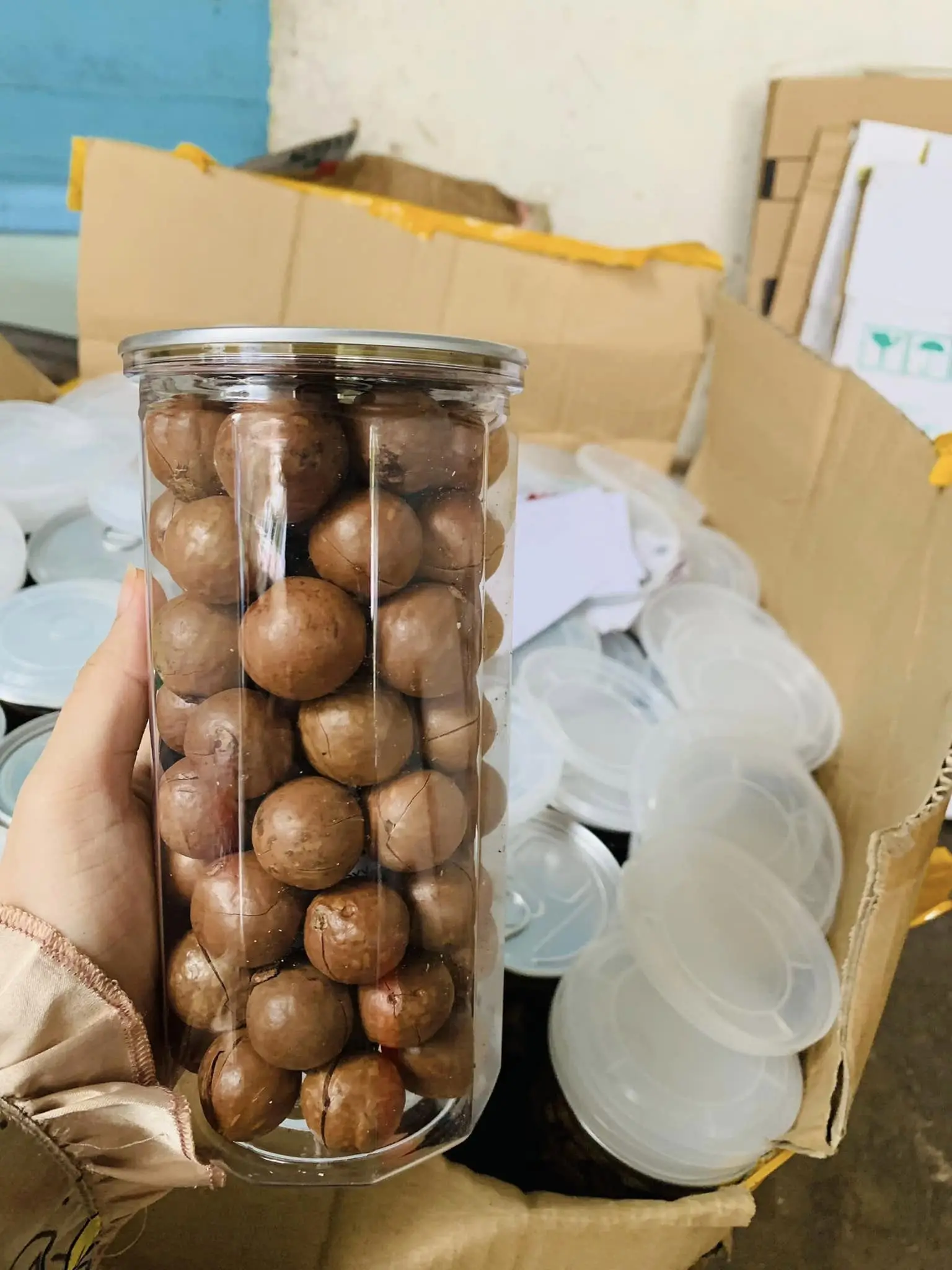 High Quality Macadamia Nuts With Delicious Taste And Competitive Price ...