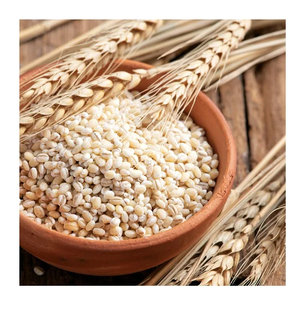 Barley Grains Premium Barley Seeds/animal Feed Barley/bulk Barley Grains Malted Barley Malt