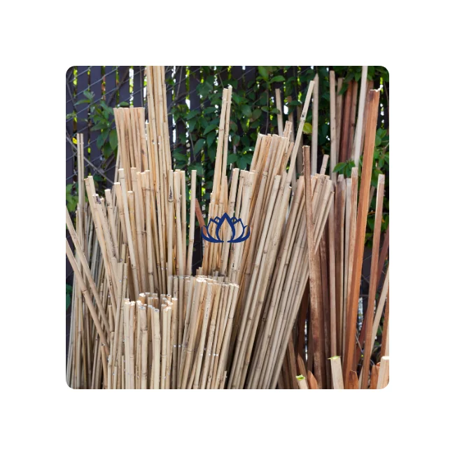 プレミアム高品質バンブーステークバンブーポールとバンブースティック