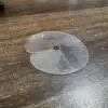 Transparent