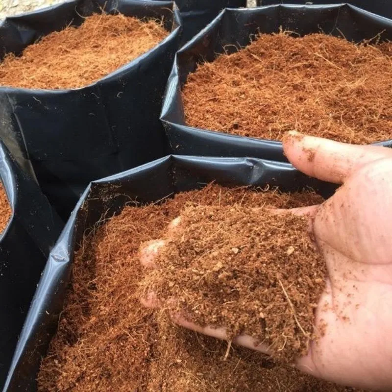 Coco Peat For Seedling Propagation Raw Coir Pith Low Ec Coco Peat For