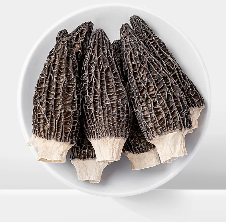 Preferential Price Morels High Quality Cultivated Morille Mushrooms