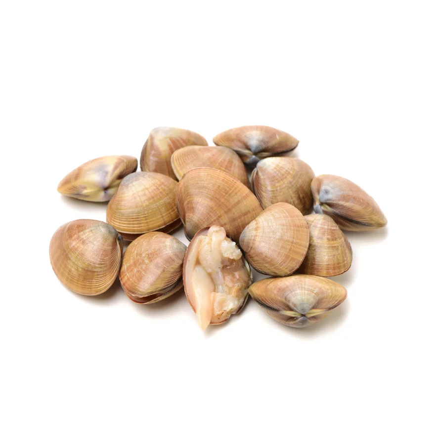 Fresh Frozen Clams Made In Vietnam 500g; 800g; 1000g; 1200g Bag Buy