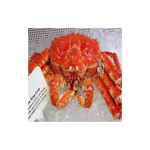 Frozen King Crab/live King Crabs/king Crab Legs For Sale At Wholesale