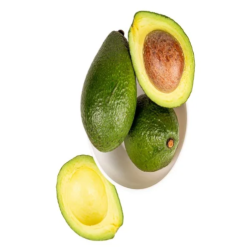 Fresh Avocado with Global Certifications Exporter