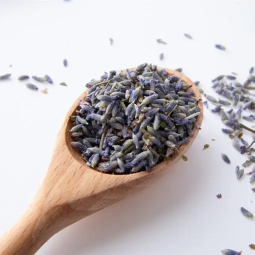 Bulk Export Low Price High Quality Dried Lavender From Vietnamese Suppliers Buy Best Selling