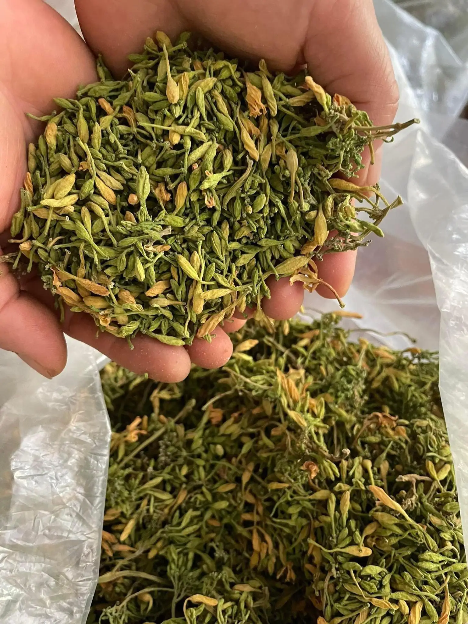 Dried Male Papaya Flowers Herbs Bitter Taste Soak With Honey Help To