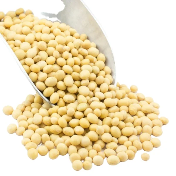 2023 Soybeans Soybeans High Quality Non Gmo Yellow Dry Soybean Seed