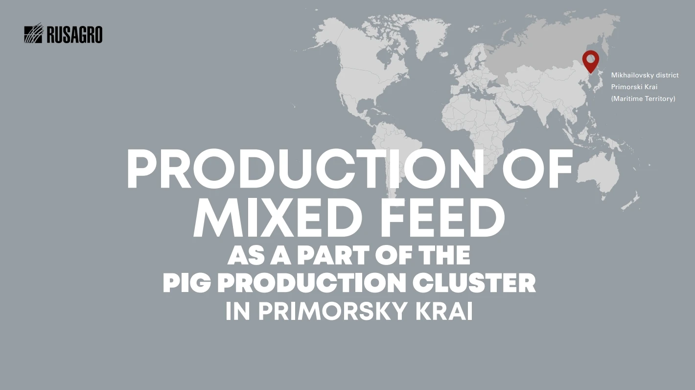 Bulk Vitamins & Amino Acids Cereals Grains And Beans Readypelleted