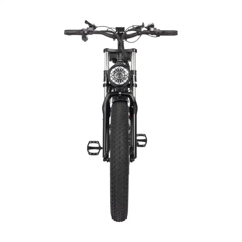 RIDSTAR H26 Pro 26 Fat Tire Electric Foldable Bike with 1000W Motor and 48V 23Ah Lithium Battery Power Supply