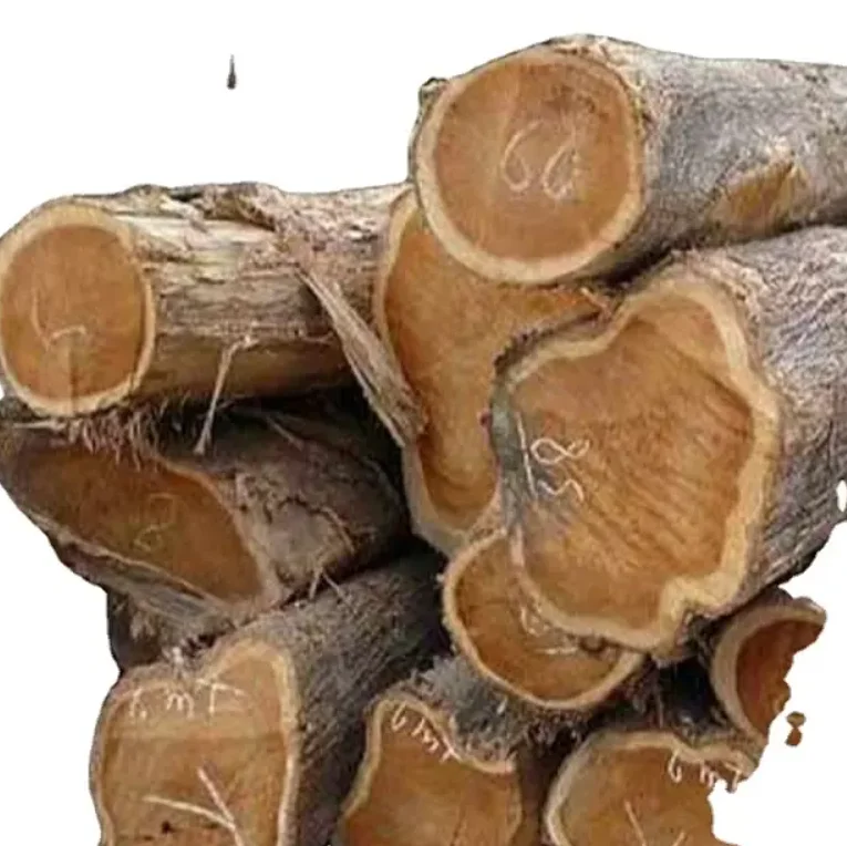 1 (5).png