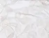 Fondo blanco con hojas marrones.