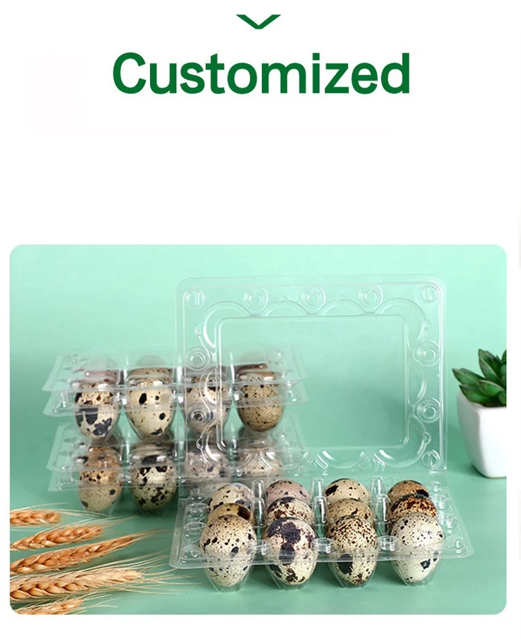 Disposable Quail Egg Trays 6/12/24/30 Cells Clear Pet Plastic Eggs