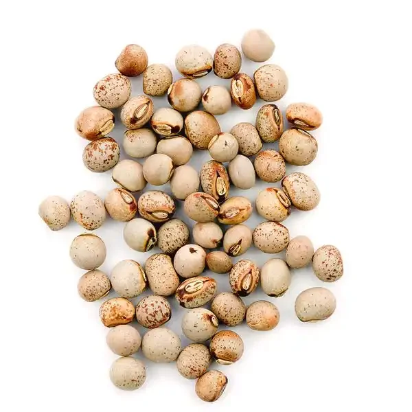 Pigeon Peas Split Yellow Chickpeas Toor Dal Whole Best Quality Dried ...