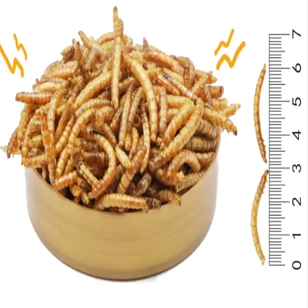 Wholesale Meal Worms Dried Poultry Feed Dried Mealworms Buy Meal Worms,Mealworm Meal Insect