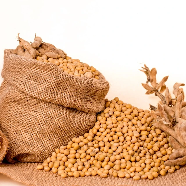 Wholesale Organic Nongmo Soyabean Yellow Soybean Soja Soya Beans Buy