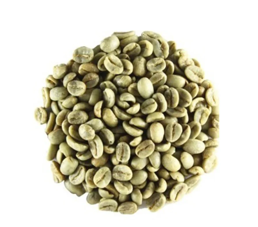 Top Quality USA Bulk Quantity Robusta Coffee and arabica coffee beans roasted In Factory Price