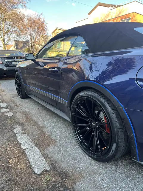 Gallery by A*************v