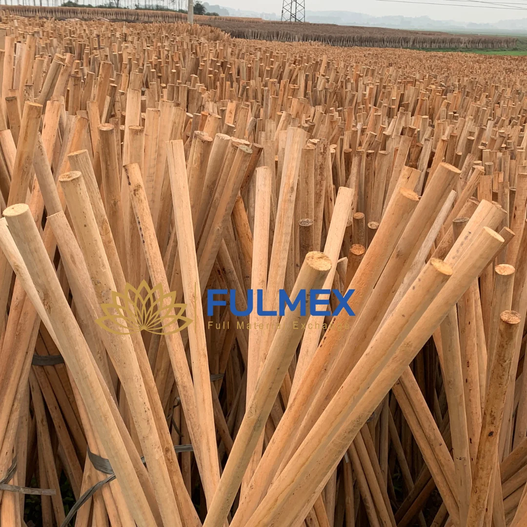 Garden Broom With Wooden Handles Natural Eucalyptus Wholesale Exwork