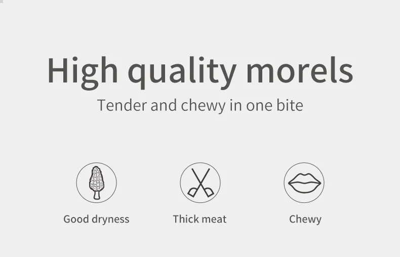 Preferential Price Morels High Quality Cultivated Morille Mushrooms