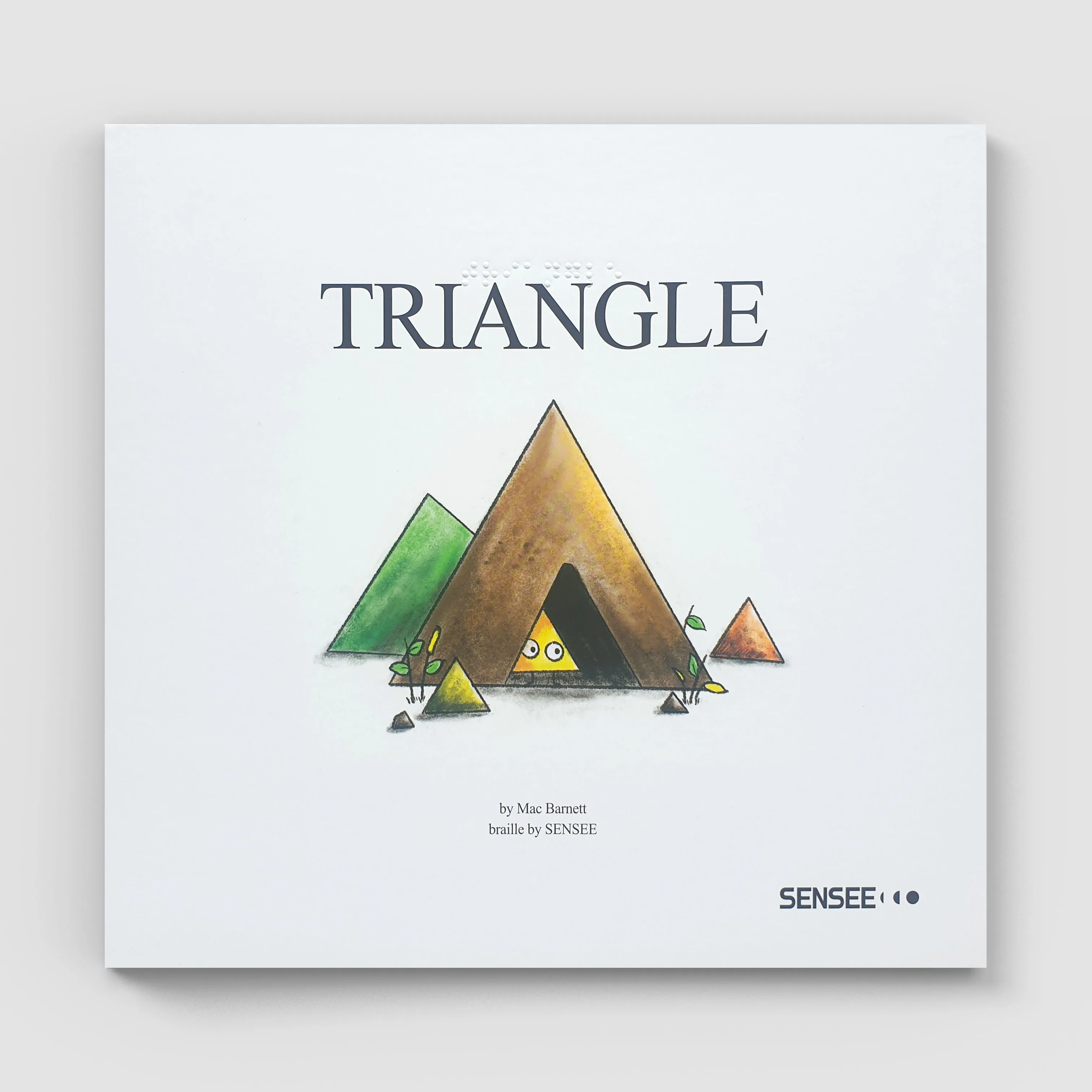 Sensee Braille Triangle,Fairy Tale Braille Book For Visually Impaired And Sighted Together