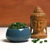 สีเขียว