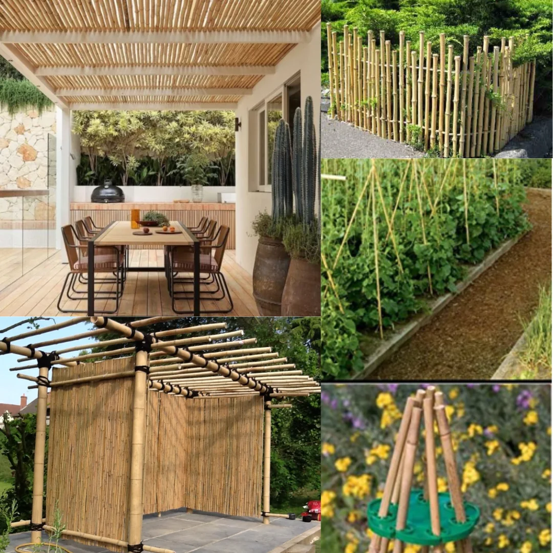 Bamboo Cane Bambu Stick For Plant Support Rods Or Bamboo Fence Buy